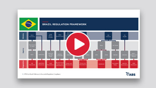 Brazil Regulatory Compliance 